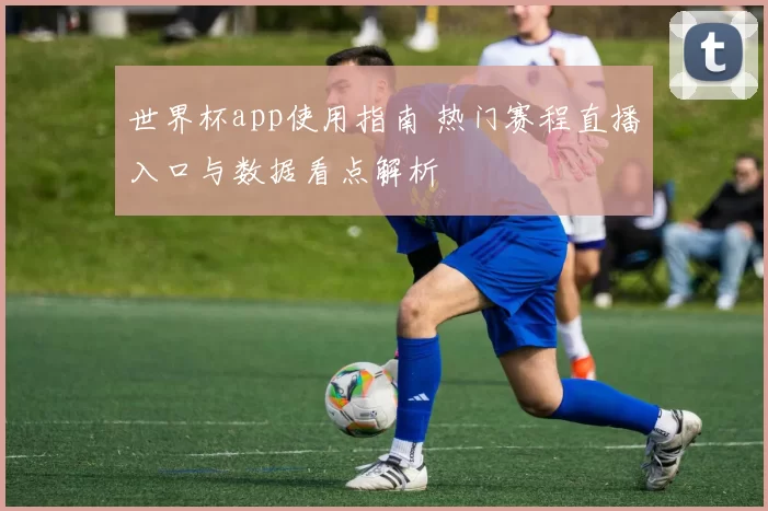 世界杯app使用指南 热门赛程直播入口与数据看点解析