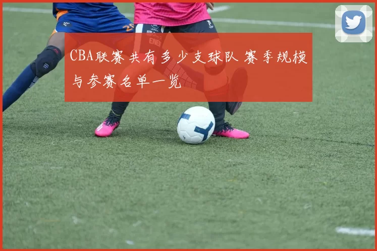 CBA联赛共有多少支球队 赛季规模与参赛名单一览