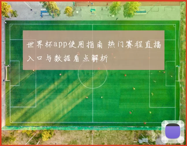 世界杯app使用指南 热门赛程直播入口与数据看点解析