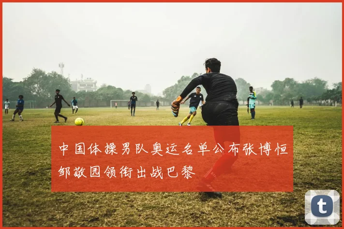 中国体操男队奥运名单公布张博恒邹敬园领衔出战巴黎